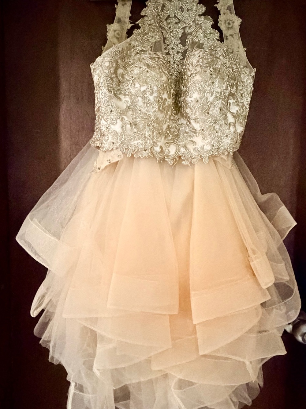 Embellished Lace Halter Mini Dress in Ivory Blush